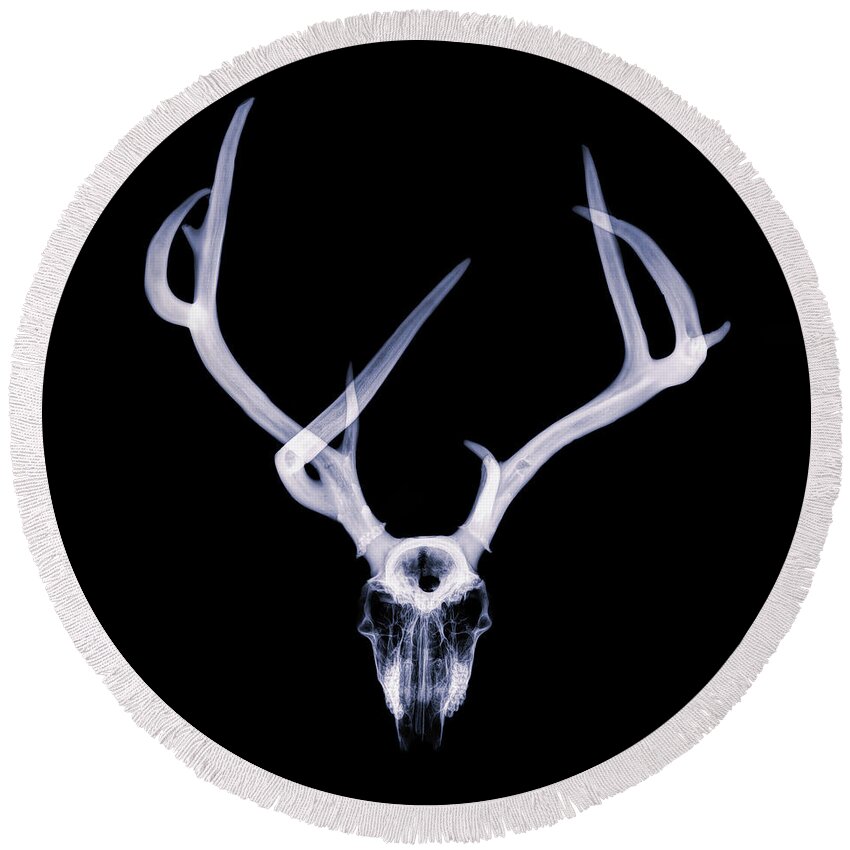 Kansas Round Beach Towel featuring the photograph Mule Deer x-ray 001 by Rob Graham
