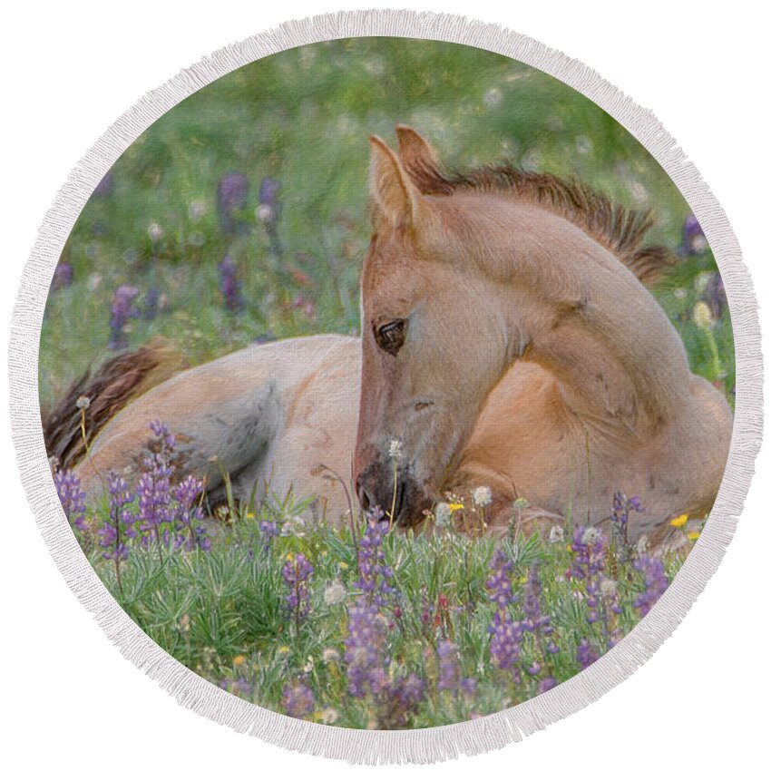 Wild Mustangs Round Beach Towel featuring the photograph Wild Mustang Foal in the Wildflowers by Marcy Wielfaert