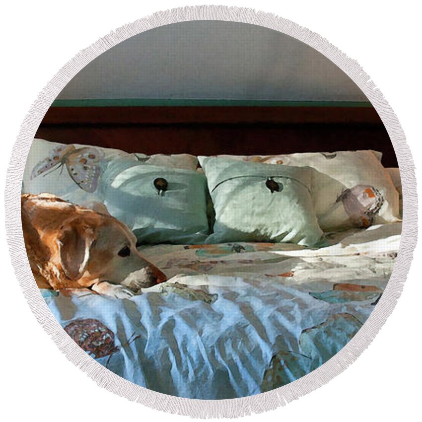Yellow Lab Round Beach Towel featuring the photograph My bed by David Pratt