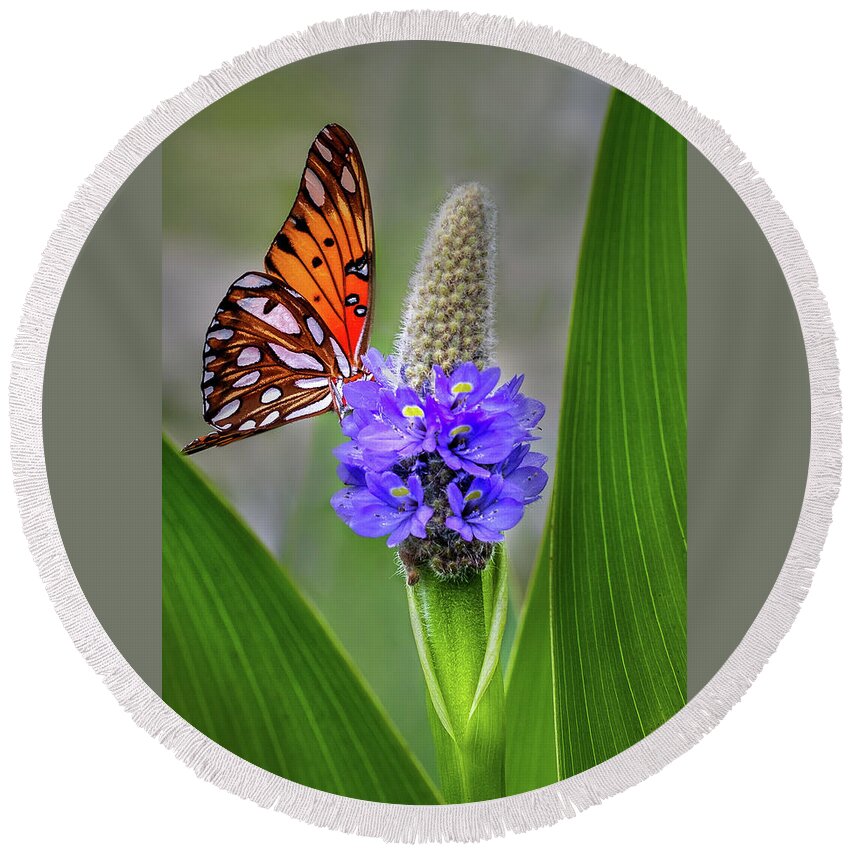 Butterfly Round Beach Towel featuring the photograph Nature's Beauty by James Woody