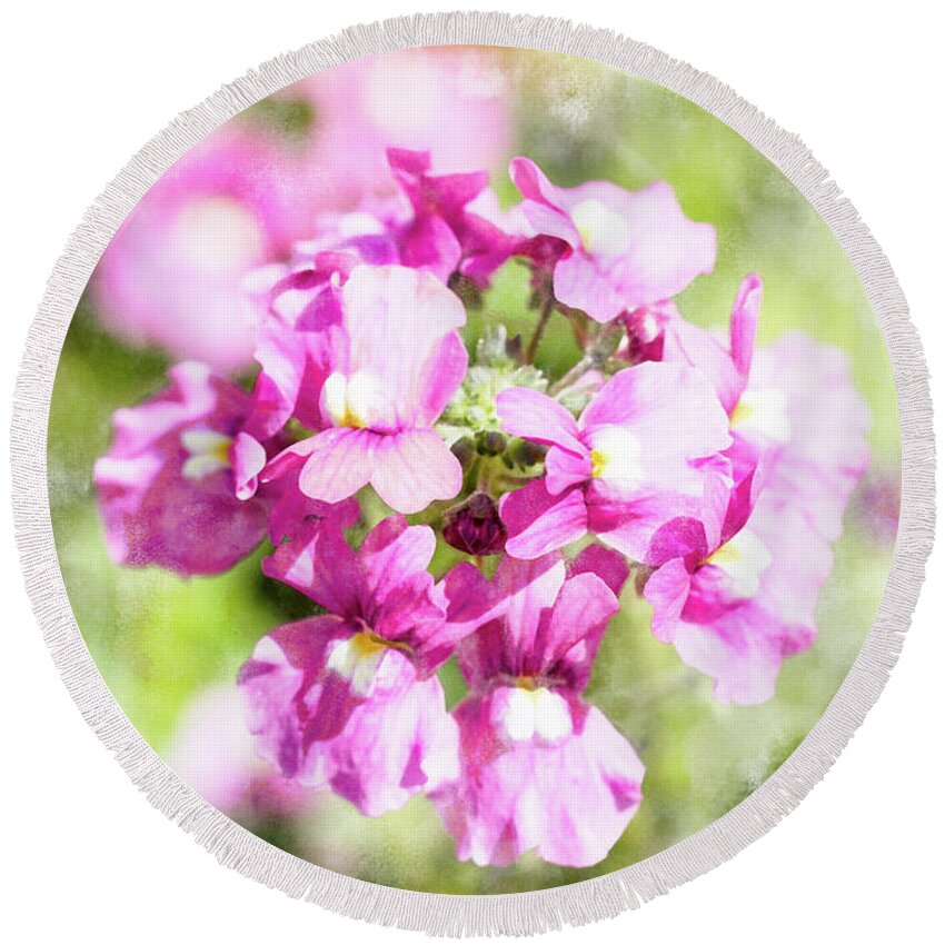 Pink Flowers Round Beach Towel featuring the digital art Nemesia by Tanya C Smith