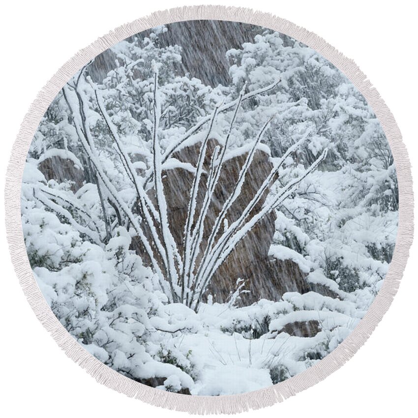 Landscape Round Beach Towel featuring the photograph Ocotillo in Snowstorm by James Covello