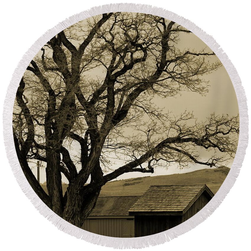 Old Shed Round Beach Towel featuring the photograph Old Shanty in Sepia by Colleen Cornelius