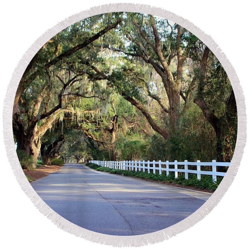 Live Oak Round Beach Towel featuring the photograph Old South Live Oaks by Cynthia Guinn