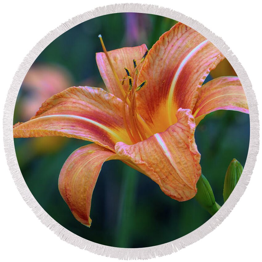Day Lily Round Beach Towel featuring the photograph Orange Lily Detailed Petals by Jason Fink