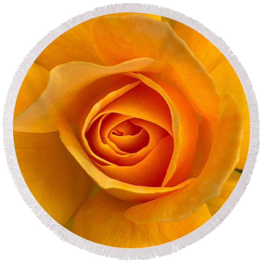 Flower Round Beach Towel featuring the photograph Orange Rose by Anamar Pictures