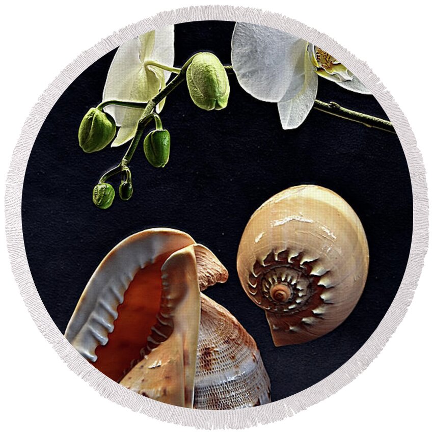 Orchid Round Beach Towel featuring the photograph Orchid and two seashells by Andrei SKY