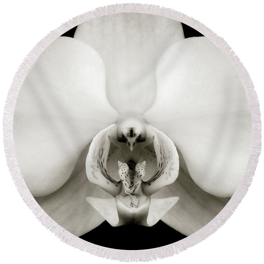 Orchid Round Beach Towel featuring the photograph Orchid by Dave Bowman