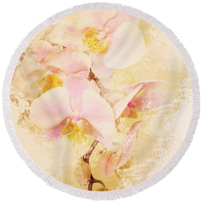 Phalaenopsis Round Beach Towel featuring the photograph Orchids by Angie Tirado