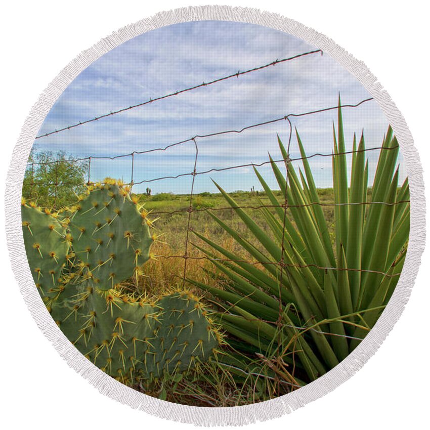 Cactus Round Beach Towel featuring the photograph Outside Brownsville by Robert Och