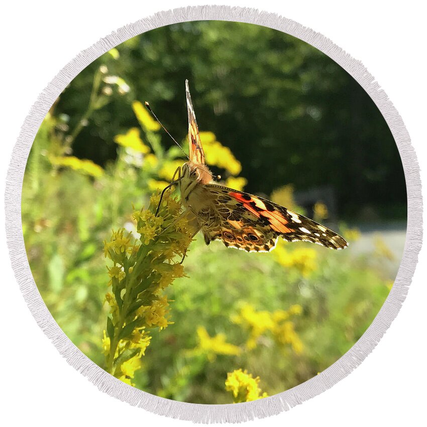 Painted Lady Round Beach Towel featuring the photograph Painted Lady and Goldenrod 1 by Amy E Fraser