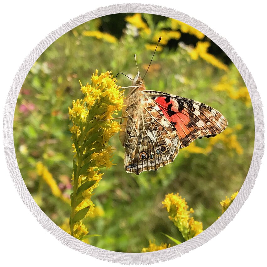 Painted Lady Round Beach Towel featuring the photograph Painted Lady and Goldenrod 3 by Amy E Fraser