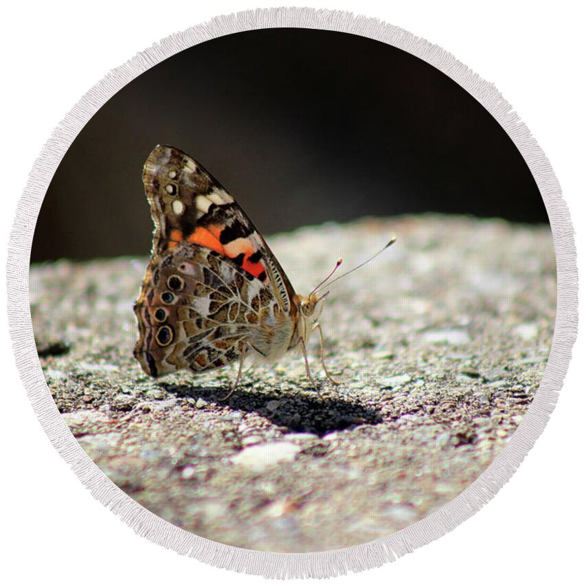Painted Lady Butterfly Round Beach Towel featuring the photograph Painted Lady Butterfly Dark and Light by Karen Adams