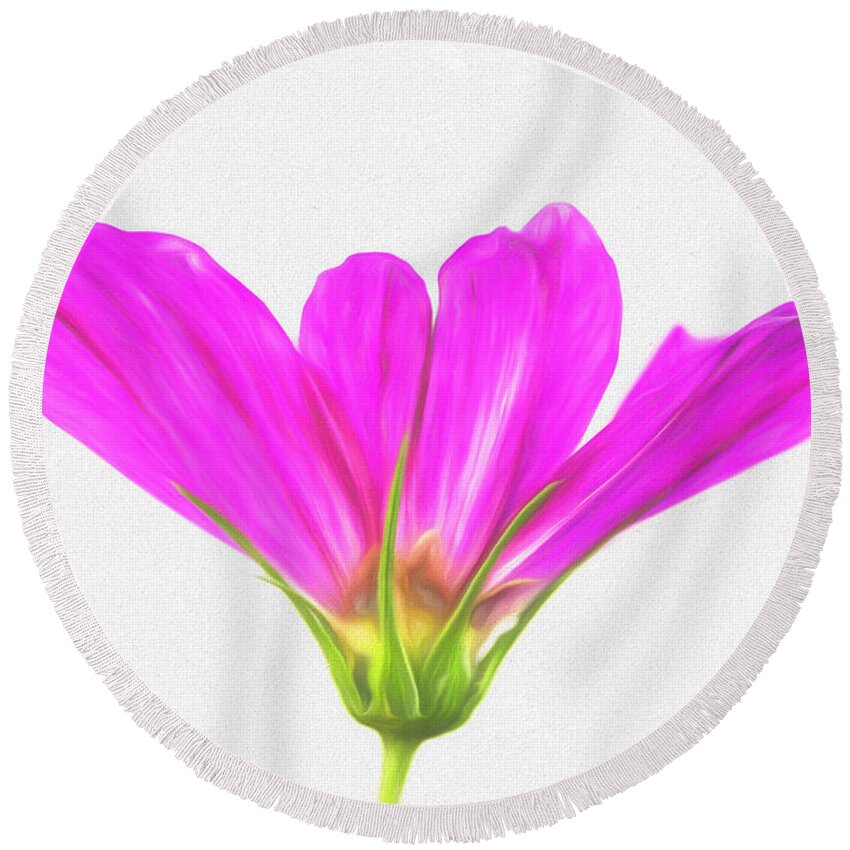 Cosmos Round Beach Towel featuring the photograph Painterly Cosmos by Cindi Ressler