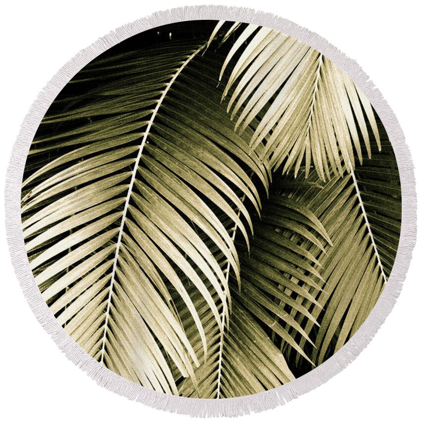 Palm Round Beach Towel featuring the photograph Palm Fronds in Sepia by Kathy Yates