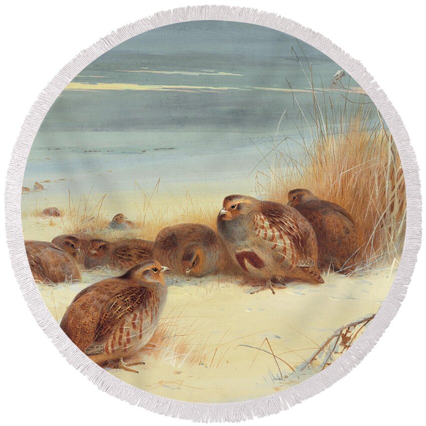 Huddle Round Beach Towel featuring the painting Partridge on a frosty morning, 1903 by Archibald Thorburn