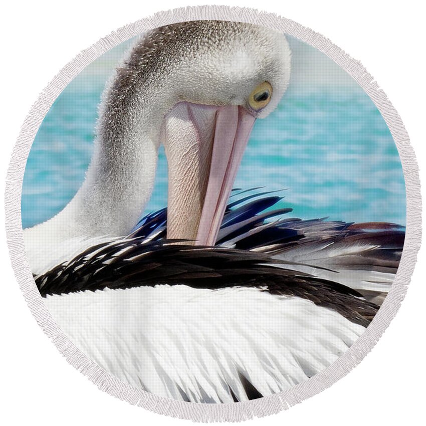 Pelicans Round Beach Towel featuring the digital art Pelican beauty 99920 by Kevin Chippindall