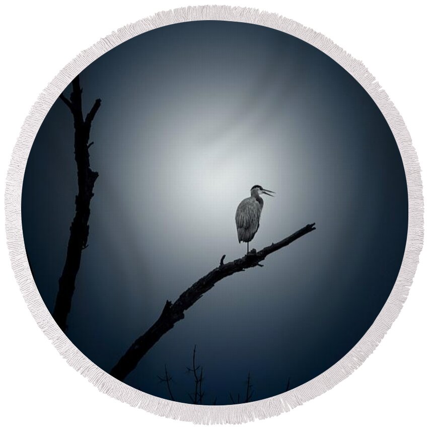 Blue Heron Round Beach Towel featuring the photograph Perched by Phil S Addis