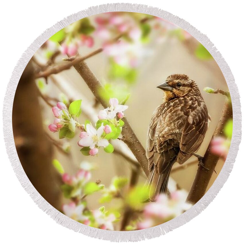 Aves Round Beach Towel featuring the photograph Pink Blossoms by Heather Hubbard