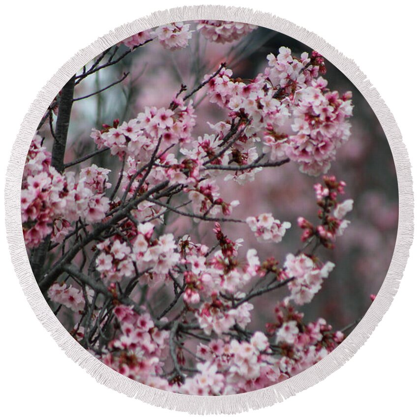 Misty Round Beach Towel featuring the photograph Pink Blossoms in Foreground at Reagan Library 3 by Colleen Cornelius