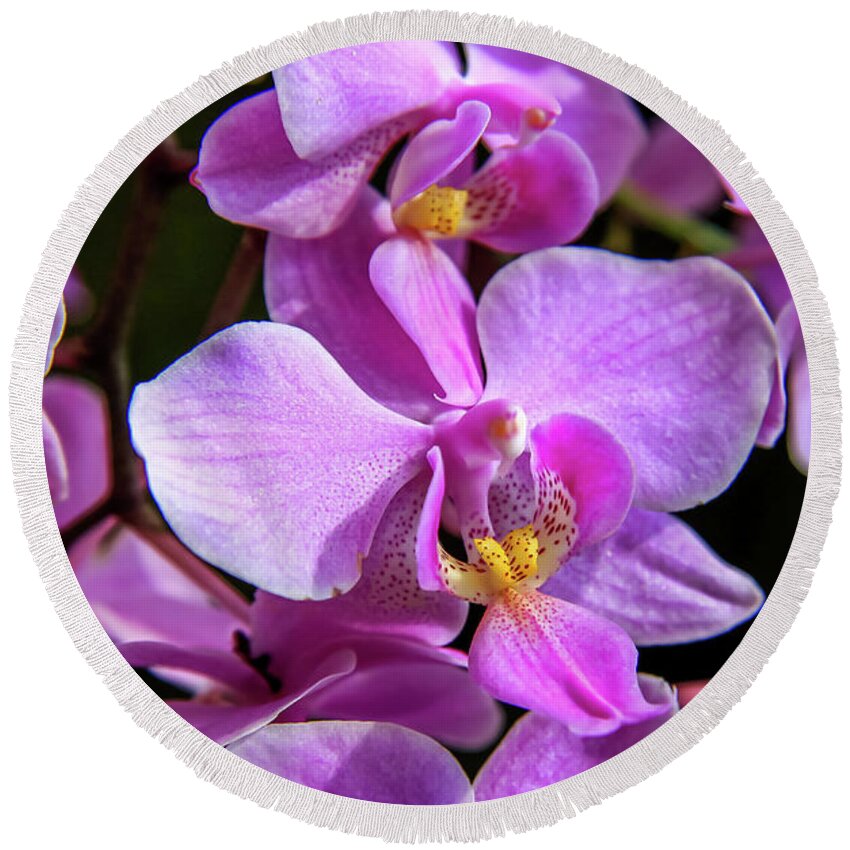 Dawn Richards Round Beach Towel featuring the photograph Pink Orchids by Dawn Richards
