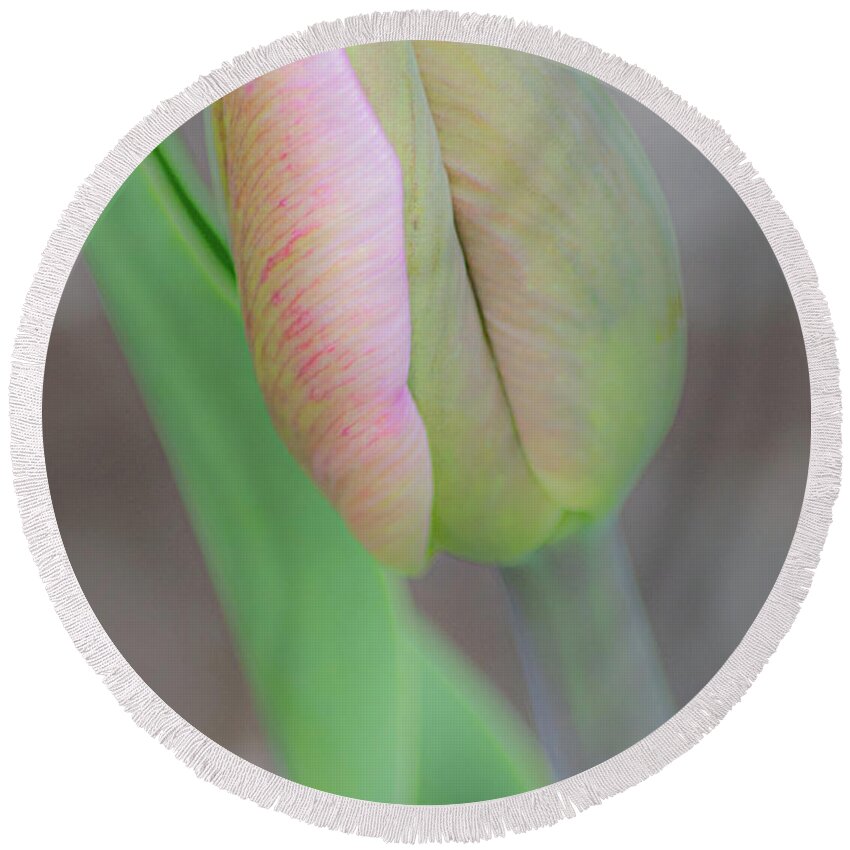 Art Round Beach Towel featuring the photograph Pink Tulip Bud by Joan Han