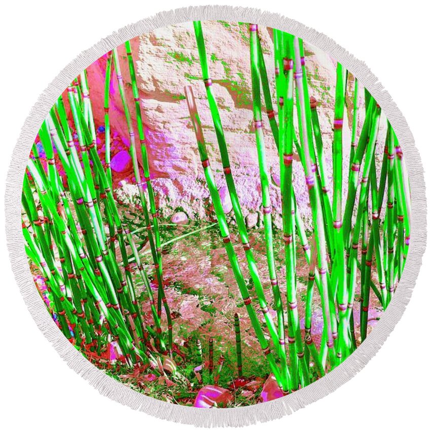 Reeds Round Beach Towel featuring the photograph Pixel Reeds by Debra Grace Addison
