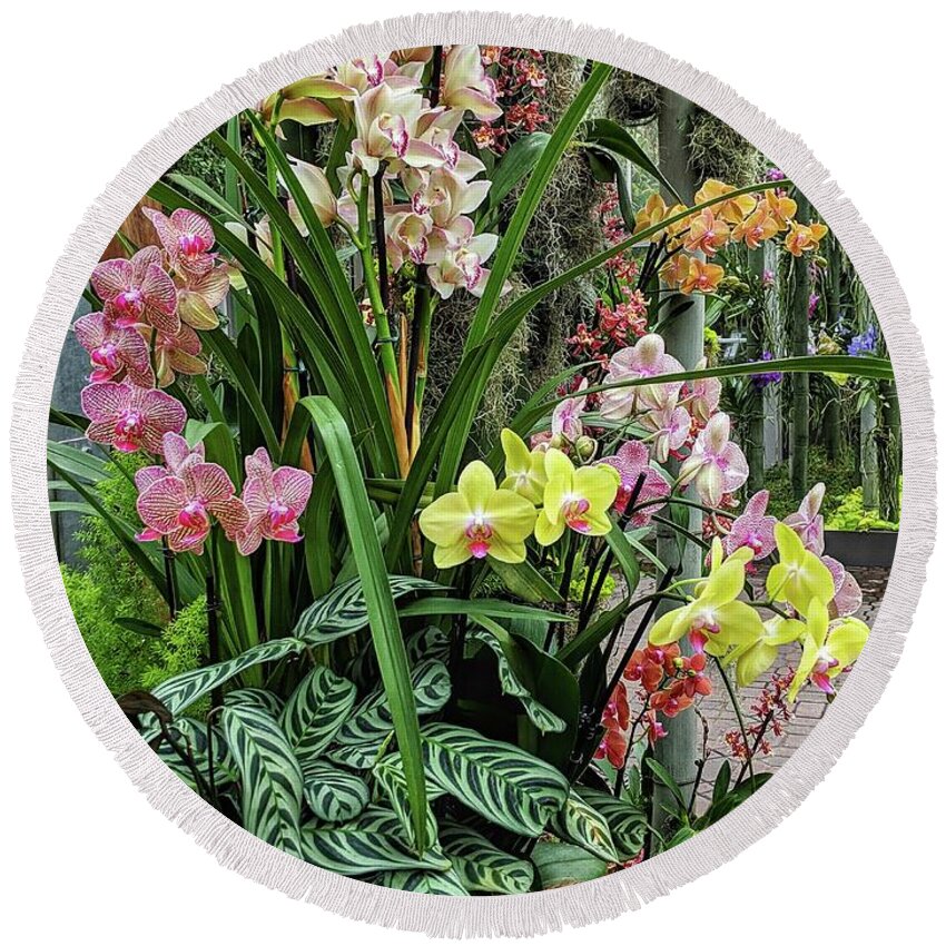 Flower Round Beach Towel featuring the photograph Plentiful Orchids by Portia Olaughlin