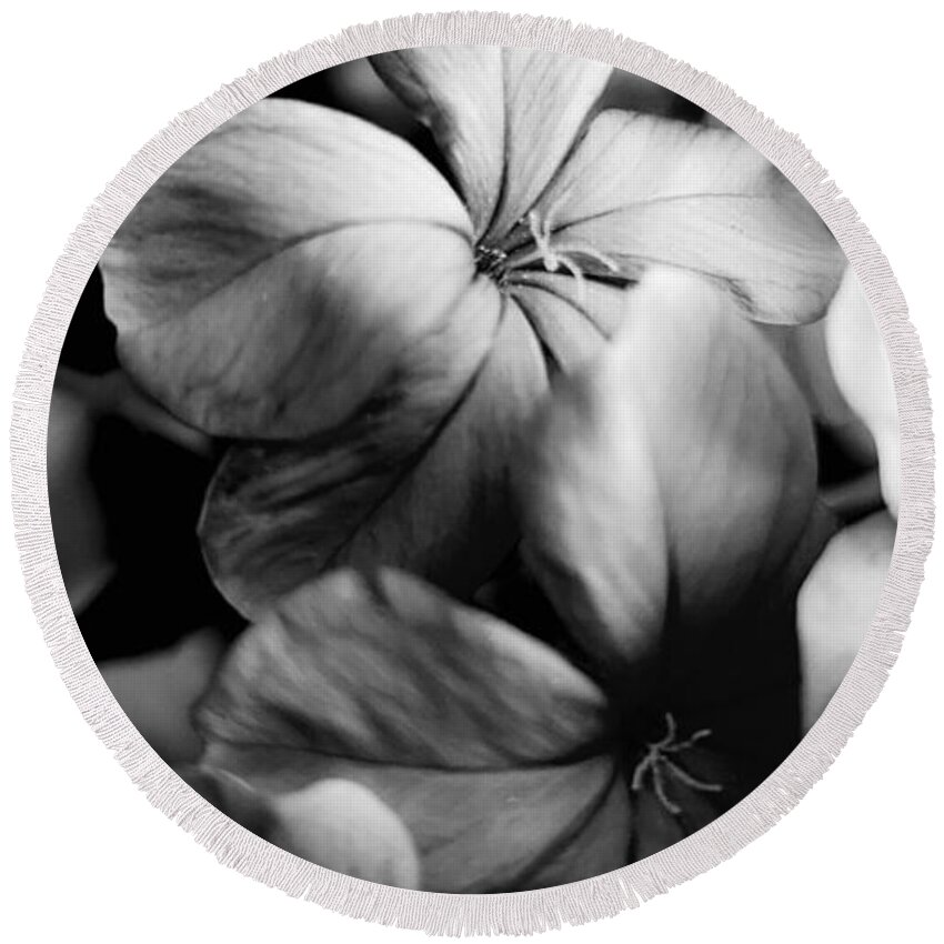 Floral Round Beach Towel featuring the photograph Plumbago BW by Alexis King-Glandon