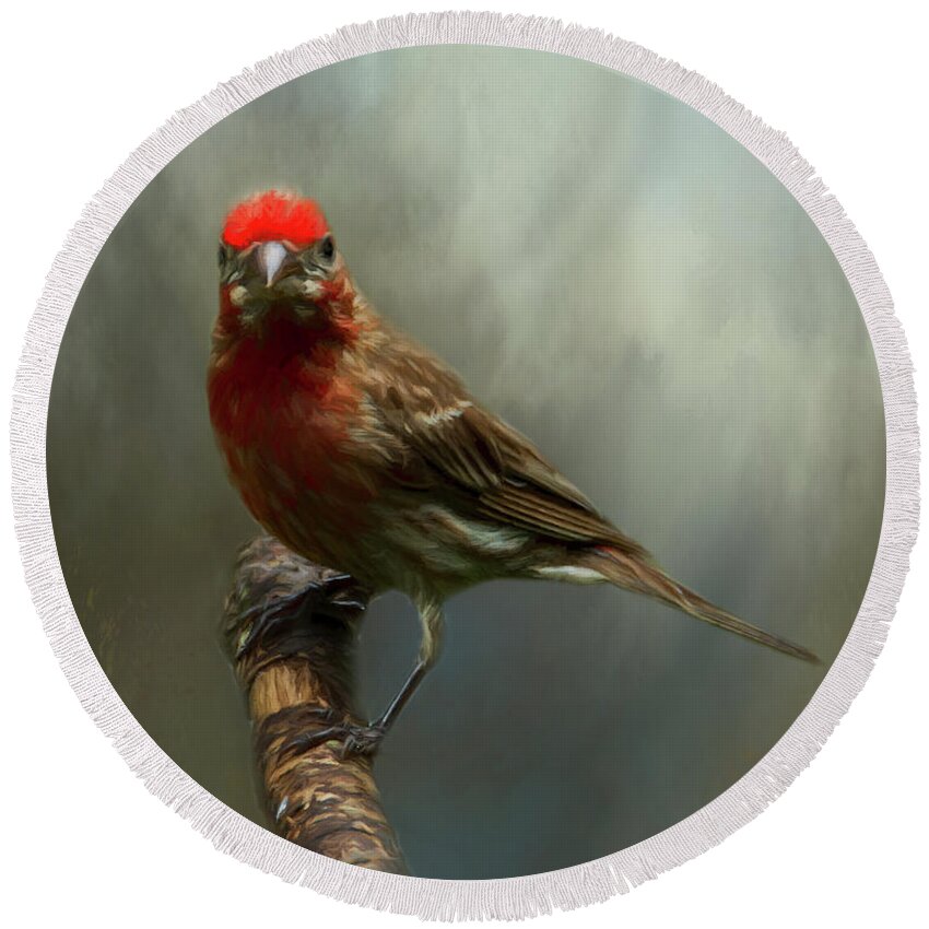 Avian Round Beach Towel featuring the photograph Portrait of a House Finch by Cathy Kovarik