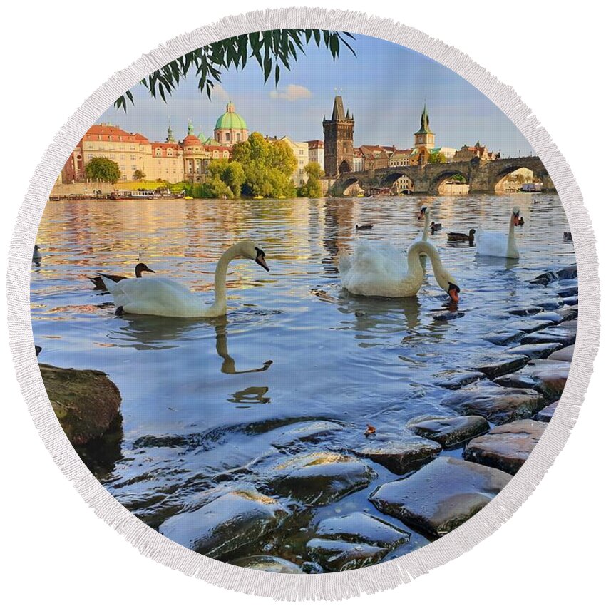 Swans Round Beach Towel featuring the photograph Prague Swans by Andrea Whitaker