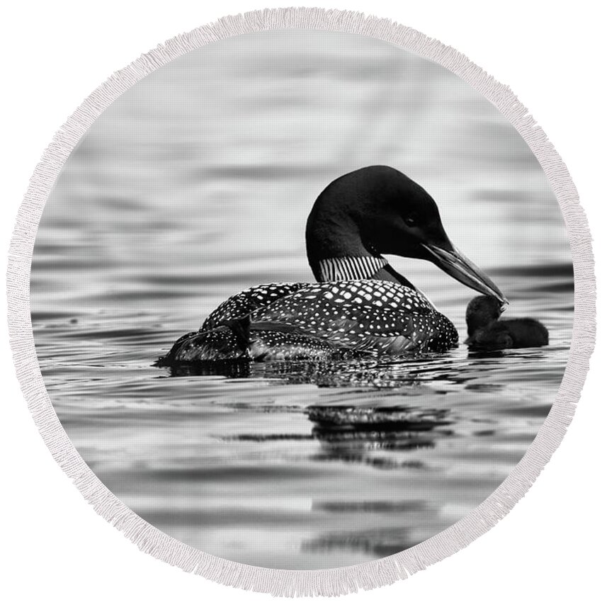 Common Loon Round Beach Towel featuring the photograph Precious Loon Chick in Black and White by Sandra Huston