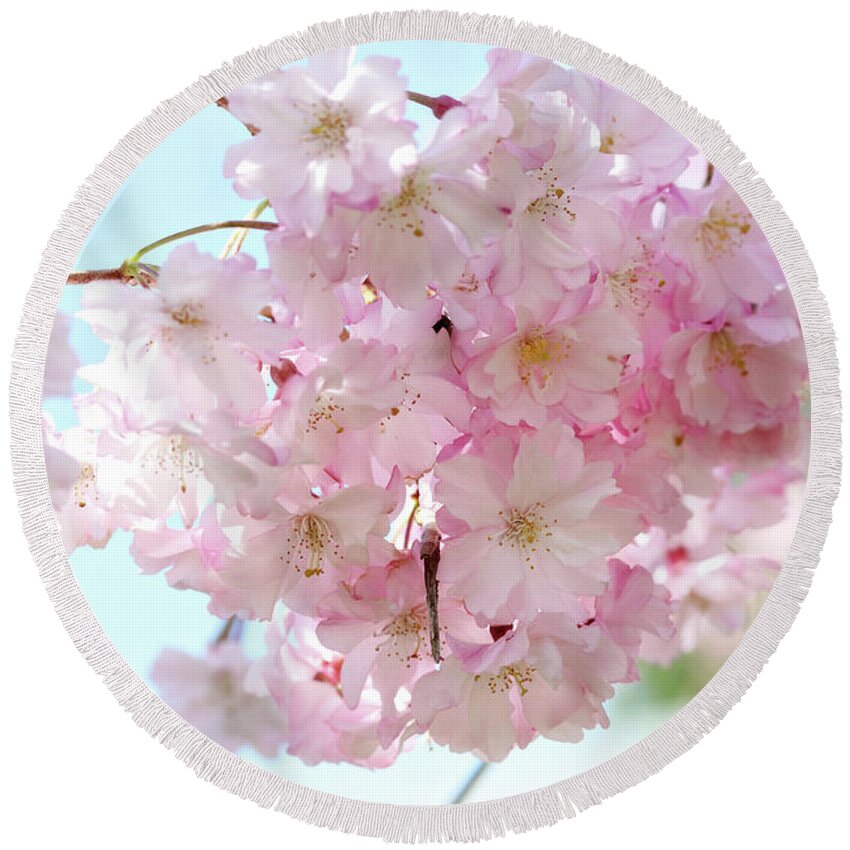 Flowers Round Beach Towel featuring the photograph Pretty Pink Blossoms by Trina Ansel