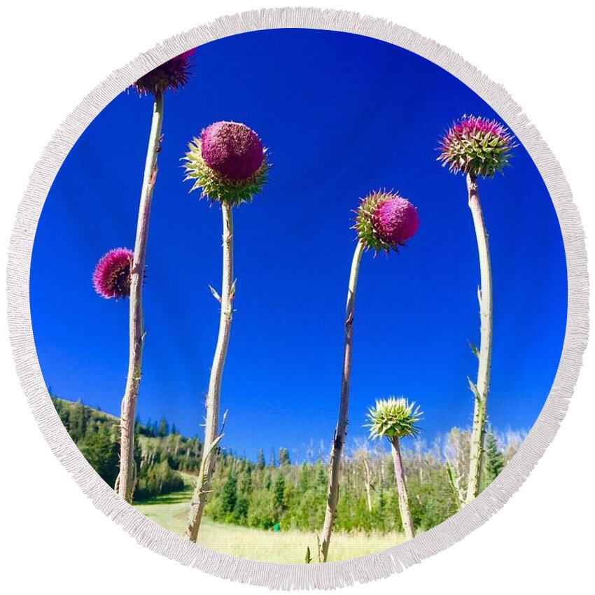  Round Beach Towel featuring the digital art Proud Mountain Flowers by Cindy Greenstein