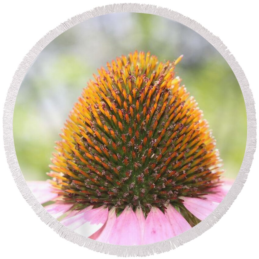 Purple Round Beach Towel featuring the photograph Purple Coneflower Seeds by Christopher Lotito