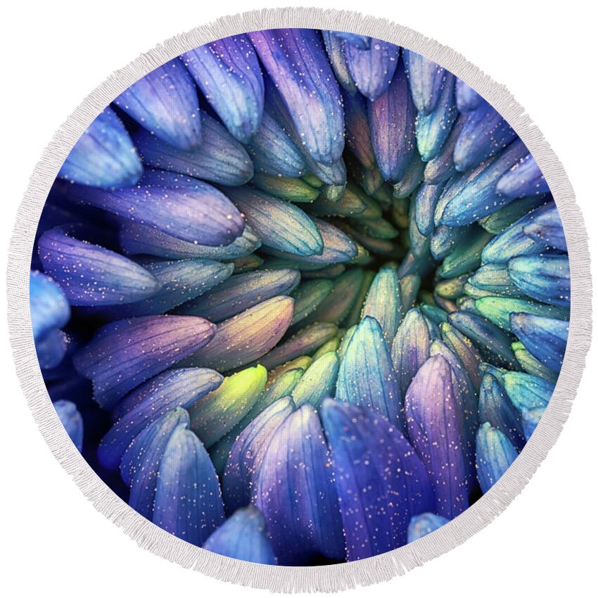 Flower Round Beach Towel featuring the photograph Purple Flower by Christopher Johnson