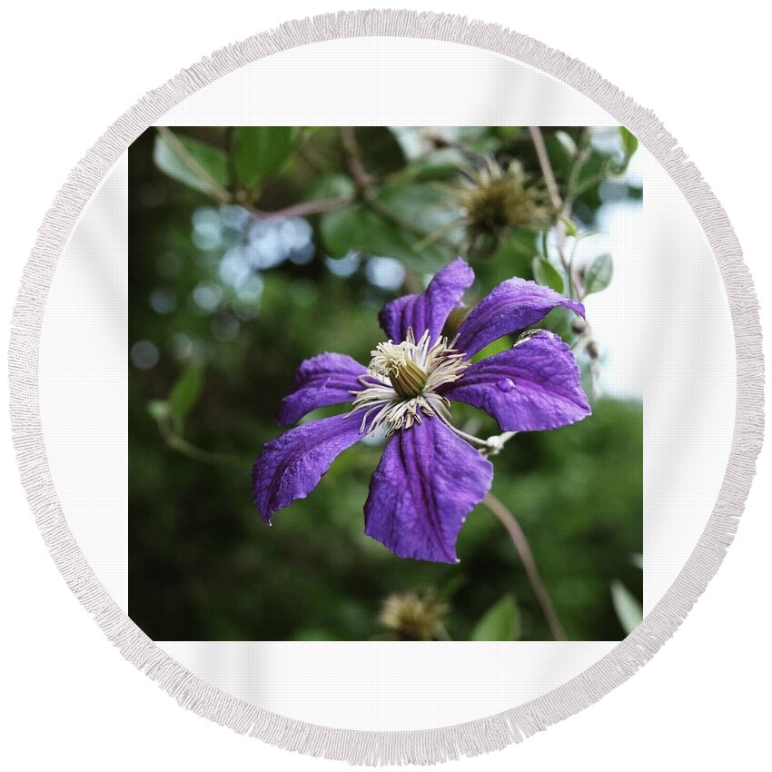  Round Beach Towel featuring the photograph Purple flower by Natalia Baquero