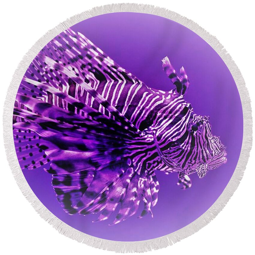 Lion Fish Round Beach Towel featuring the photograph Purple Lionfish by Lucie Dumas