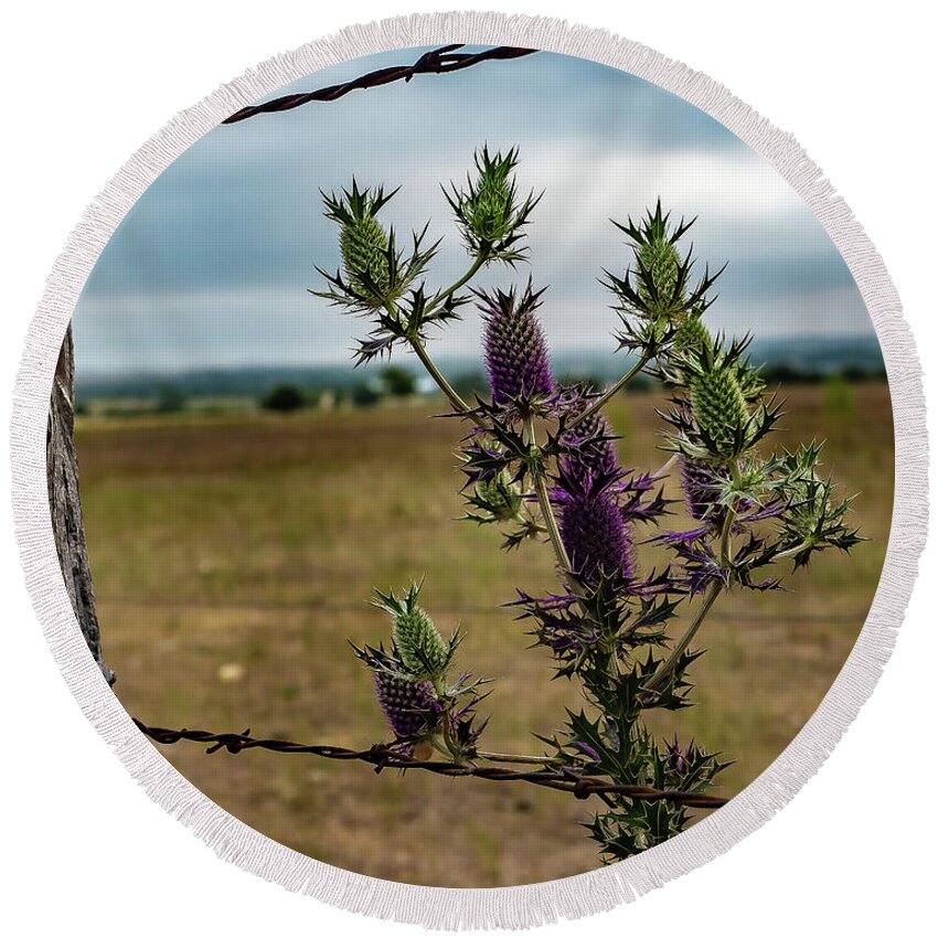 Wildflower Round Beach Towel featuring the photograph Purple Pineapple Thistle by Jerry Connally