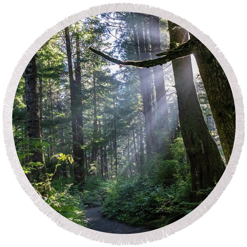 Background Round Beach Towel featuring the photograph Rain Forest at La Push by Ed Clark