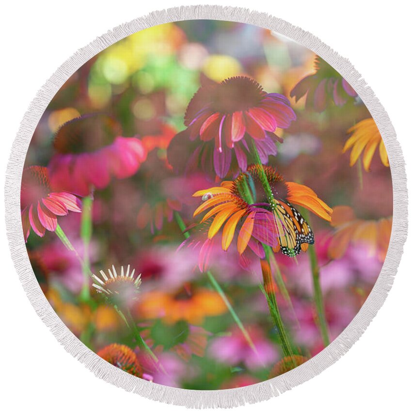 Cone Flowers Round Beach Towel featuring the photograph Rainbows by Cathy Donohoue