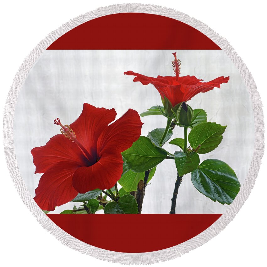 Hibiscus Round Beach Towel featuring the photograph Red Hibiscus Duo by Terence Davis