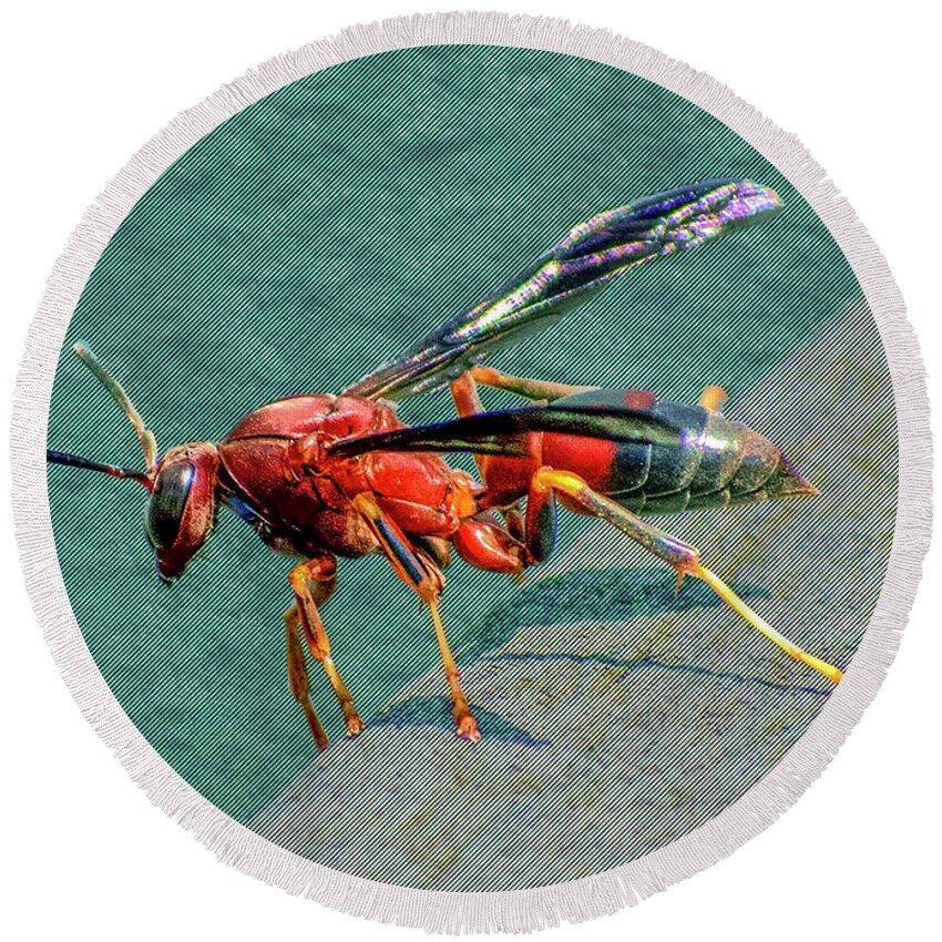 Wasp Round Beach Towel featuring the digital art Red Wasp by Anthony Ellis