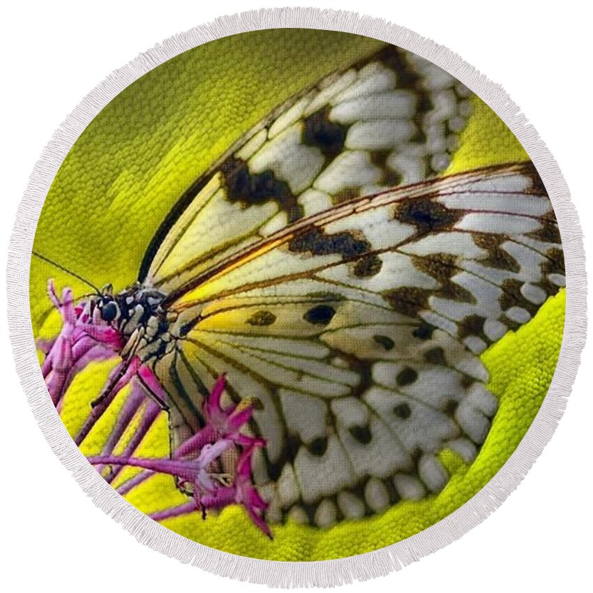 Digital Art Round Beach Towel featuring the digital art Reptile Butterfly by Teresa Trotter