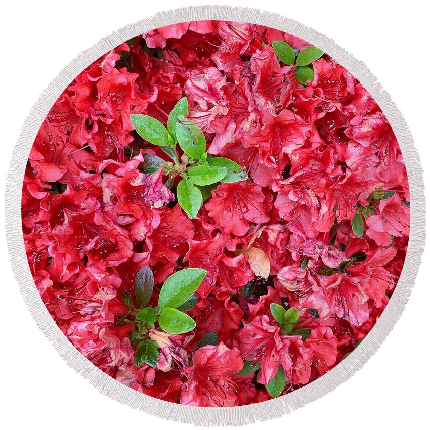 Rhododendrons Round Beach Towel featuring the photograph Rhododendrons by HD Connelly