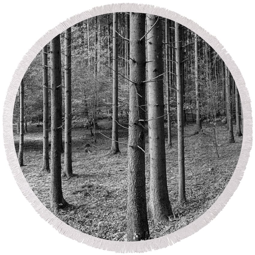 Photography Round Beach Towel featuring the photograph Road Passing Through Forest, Stuttgart by Panoramic Images