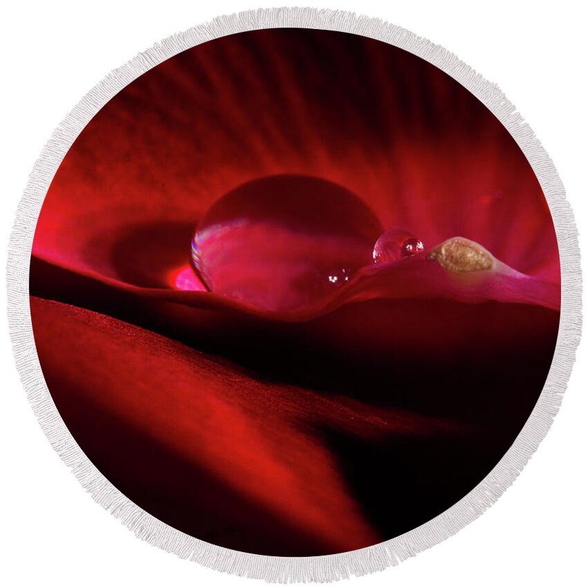 Rose Round Beach Towel featuring the photograph Rose Petal Droplet by Mike Eingle