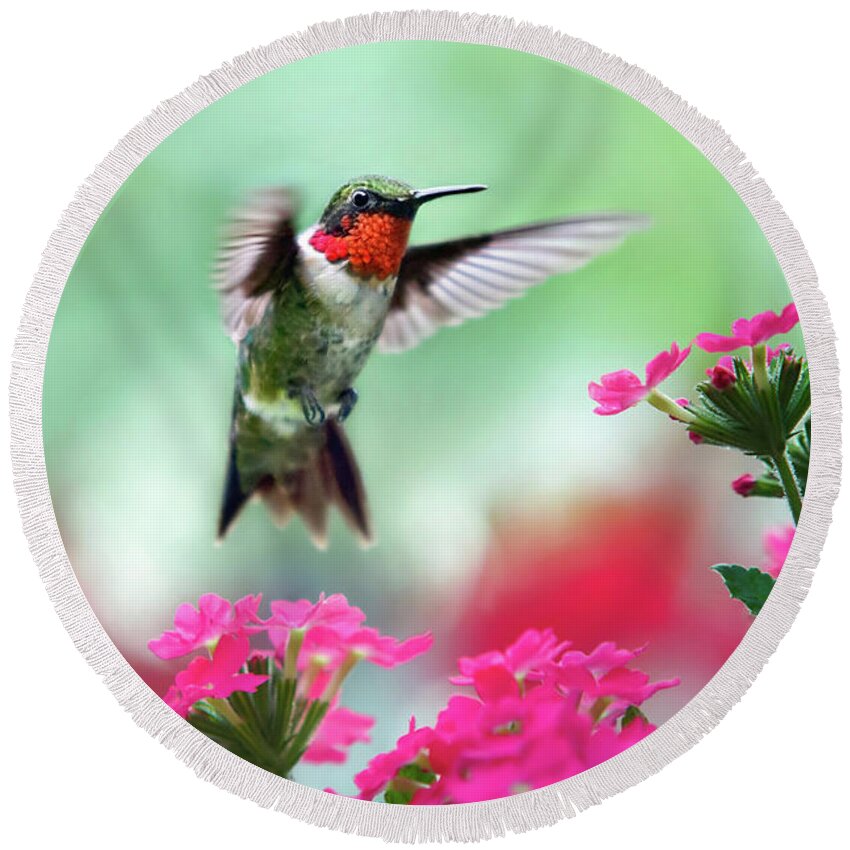 Hummingbird Round Beach Towel featuring the photograph Ruby Garden Jewel by Christina Rollo