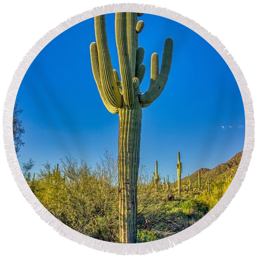 Sunsets Round Beach Towel featuring the photograph Saguaro Cactus by Anthony Giammarino