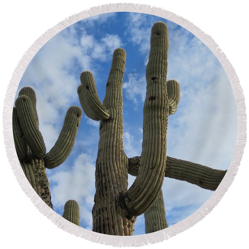 Arizona Round Beach Towel featuring the photograph Saguaro Clique by Judy Kennedy